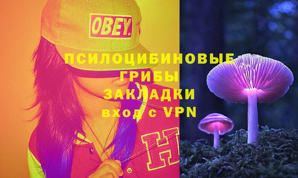 ешки Ростов