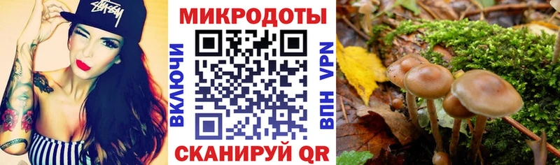 Галлюциногенные грибы прущие грибы наркота Ленск